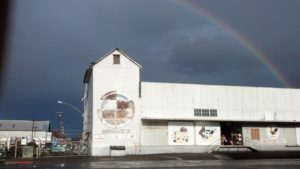 shop for clothes at the feed store if you're a cowgirl