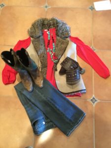 reversible fur vest and Laurie Felt blouse